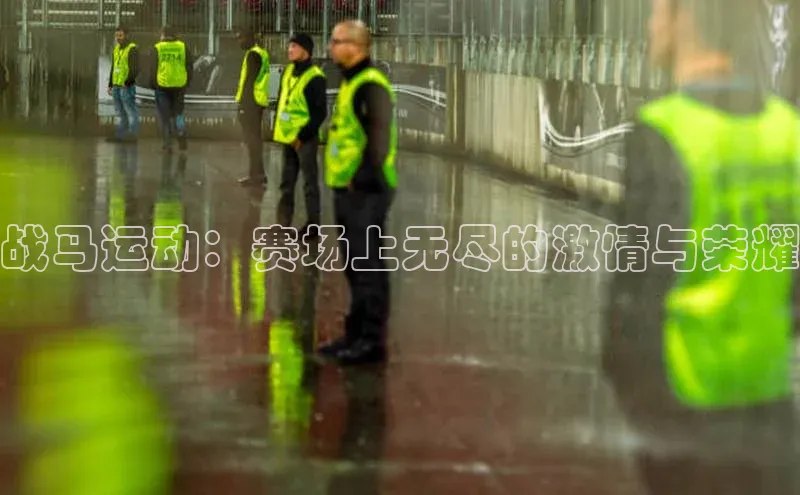 战马运动：赛场上无尽的激情与荣耀