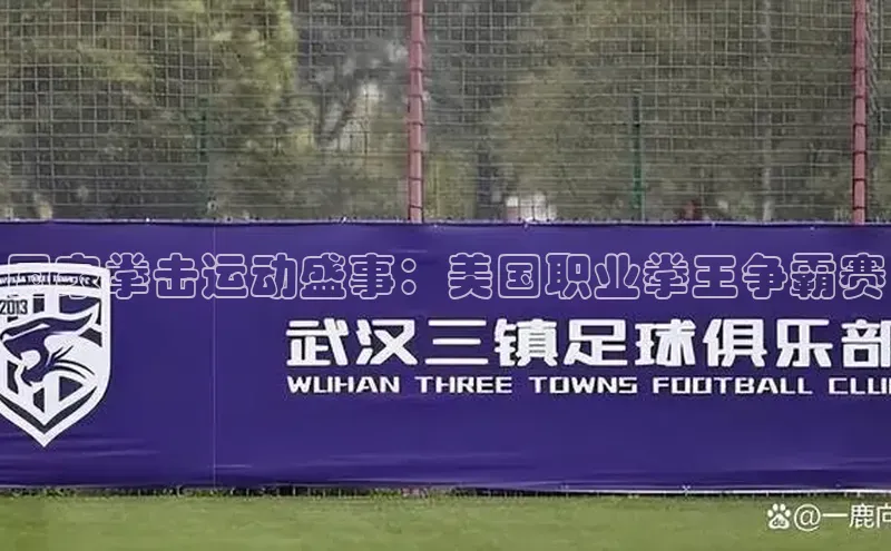 国家拳击运动盛事：美国职业拳王争霸赛
