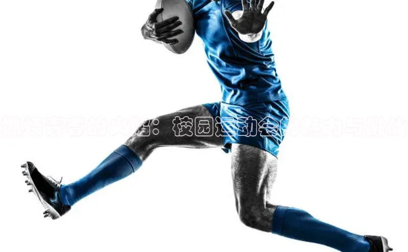 燃烧青春的火焰：校园运动会的魅力与挑战