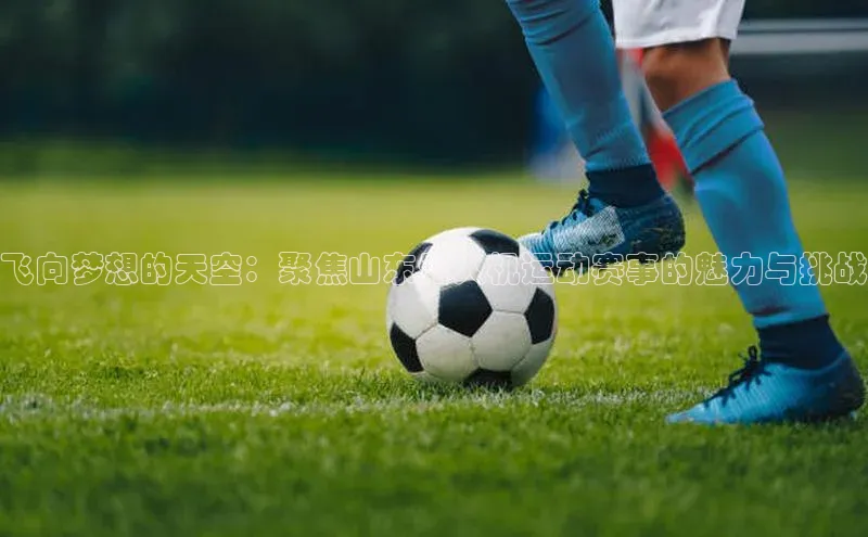 飞向梦想的天空：聚焦山东无人机运动赛事的魅力与挑战